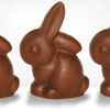 Chocolate Bunnies